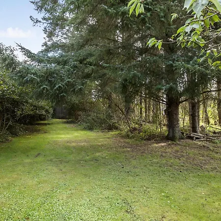 Pet Friendly In With Wifi *