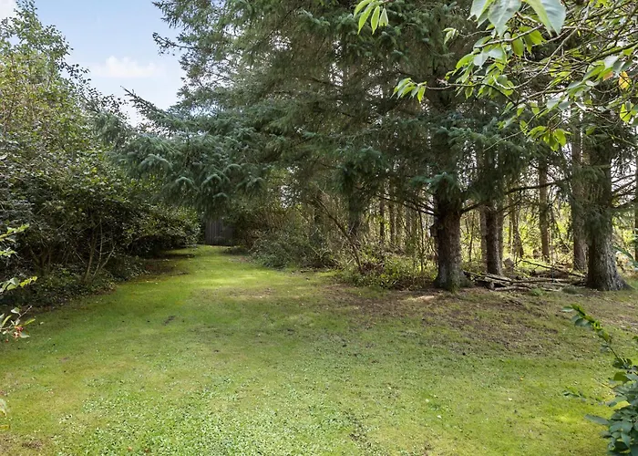 Pet Friendly In With Wifi *